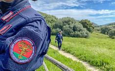 A Palermo sequestrati 160 chili di stigghiola e multe per 18000 euro