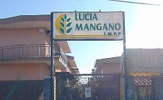 Processo per il "buco" milionario al Lucia Mangano, due persone assolte: &laquo;Non &egrave; provato che fossero parte del sistema&raquo;