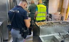 Pesce non tracciato o congelato ma venduto come fresco nei ristoranti della Plaia: multe salate e trattoria sospesa