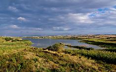 Riserva Biviere di Gela: questa volta si bonifica davvero o sar&agrave; l'ennesimo bluff?