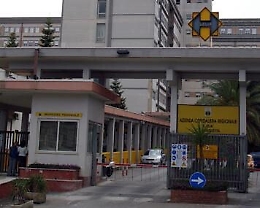 Sommatino, scambiano belladonna per borragine: madre e figlia in ospedale