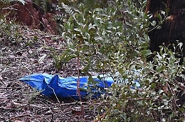 Lentini, nascose il cadavere del compagno della madre: arrestato titolare di pompe funebri