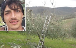 Ventunenne cade e muore durante la potatura di un albero nel Trapanese