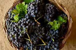 La guerra con la Regione del nero d&rsquo;avola