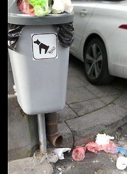 Catania: "Chi dovrebbe svuotare i contenitori?"