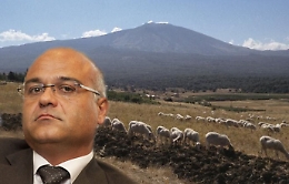 La mafia dei pascoli oltre il protocollo Antoci: la sfida ai boss «raffinati»