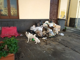 Catania: cumuli di rifiuti al porto, per i turisti... !