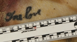 Il mistero dei sub senza nome trovati morti, una madre tunisina: «Sono miei figli»