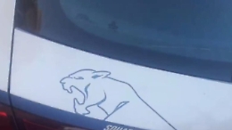 &laquo;Devo raggiungere la mia fidanzata per San Valentino&raquo;, ma il ragazzo era ricercato da un mese: arrestato