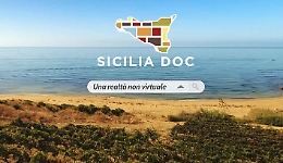 Vino, cresce la doc Sicilia, nel 2019 prodotte 95 milioni di bottiglie (+19% )