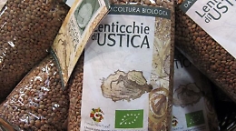 Agricoltura, Sicilia in crisi per la siccità, a rischio anche le lenticchie di Ustica