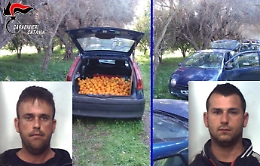 Castel di Iudica, rivede i ladri di arance nel fondo e chiama i Cc: arrestati