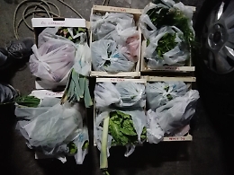 Coronavirus,  boom dei mercatini "a domicilio" per i piccoli produttori dell'Etna