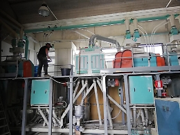 Valderice, muore in un incidente sul lavoro il titolare del molino Oddo