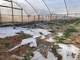 Colture in serra danneggiate da grandine a Ispica e a Pachino