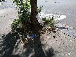 Catania: viale M. Rapisardi: "Alla faccia della sanificazione"