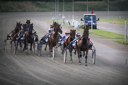 Mafia, scommesse e cavalli: arrestato driver siciliano del trotto