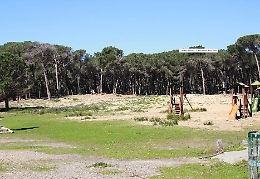 Catania, da oggi la Regione prende in gestione il boschetto della Plaia