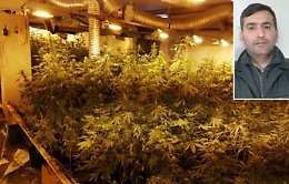 Catania, a San Cristoforo la più grande piantagione di marijuana mai sequestrata in centro storico