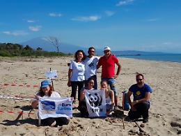 Il primo nido dell'anno di una caretta caretta all'Oasi del Simeto