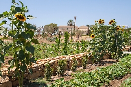 Le Giornata Fai e Agrigento si fa ancora più bella