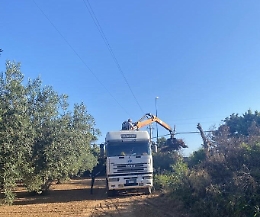 Sciacca: interventi di pulizia, scerbatura, derattizzazione