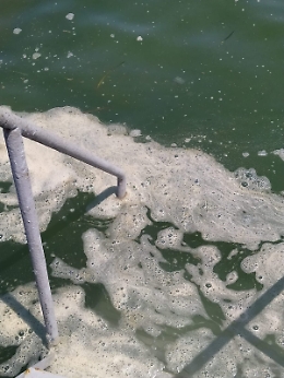 Costa Saracena (SR): lunga scia schiumosa nel mare