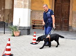 Catania, cani guida e bastoni per i non vedenti: un “ponte” tra buio e luce