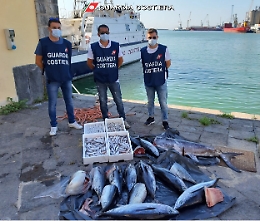Catania, pesce non "tracciato" alla Pescheria finisce in beneficenza
