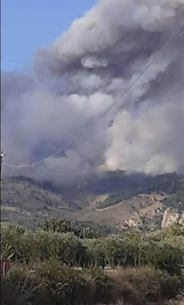 Incendi nei boschi: convocato Consiglio comunale all'aperto a Burgio