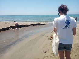 Goletta Verde, il report sulla Sicilia: sono 15 i litorali inquinati