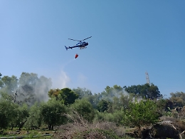 Piromani in azione nella Riviera dei Ciclopi ad Acicastello