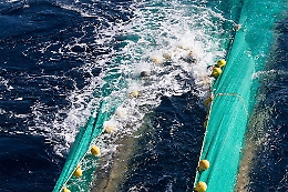 Pesca, in Sicilia 30 giorni di fermo dall'1 settembre al 2 ottobre