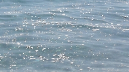 Mascali (CT):  il mare sporco impedisce il bagno