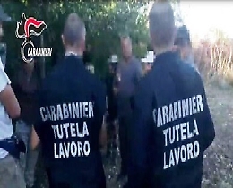 Corleone: irregolari 8 aziende agricole su 11 e 40 lavoratori su 51