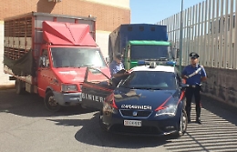 Bloccati su due autocarri con bovini rubati: 4 arresti nel Catanese