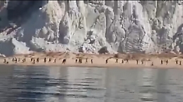 Sbarco “fantasma” a Siculiana, caccia ai migranti che si sono dileguati