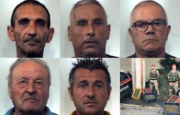 Maxi piantagione di marijuana in un aranceto a Paternò: 6 arresti