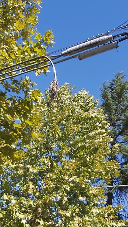San Gregorio (CT). Da oltre un anno i lavori si sono conclusi...