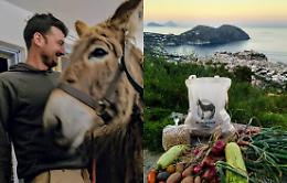 La trovata di Luis: «Offro casa a Lipari con buon cibo e vista mare, in cambio di aiuto nei campi e con gli animali»