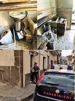 Ramacca, chiuso panificio: spaventose condizioni igieniche