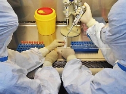 Coronavirus, due vigili urbani positivi al test sierologico a Palermo