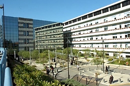 Operai intossicati a Palermo: è stato il botulino