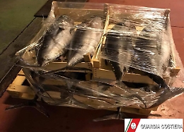 Riposto, fermato con 11 esemplari di Alalunga: ma la pesca ora è vietata