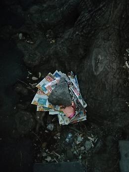 Nuove tecniche di concimazione. Via Ipogeo, Catania