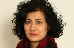 Il M5s perde un altro pezzo, lascia la senatrice catanese Drago: «Impegni traditi»