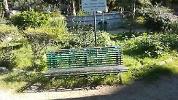 Al via lo scerbamento a Porta di Ponte e alla villetta Casesa