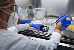 Covid, in Italia record di casi: in un solo giorno 34.505 contagi