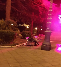 Enna:  Covid-19... e per i senza tetto?