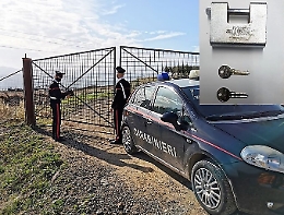 A Mineo trasformano in allevamento bene confiscato alla mafia: una denuncia